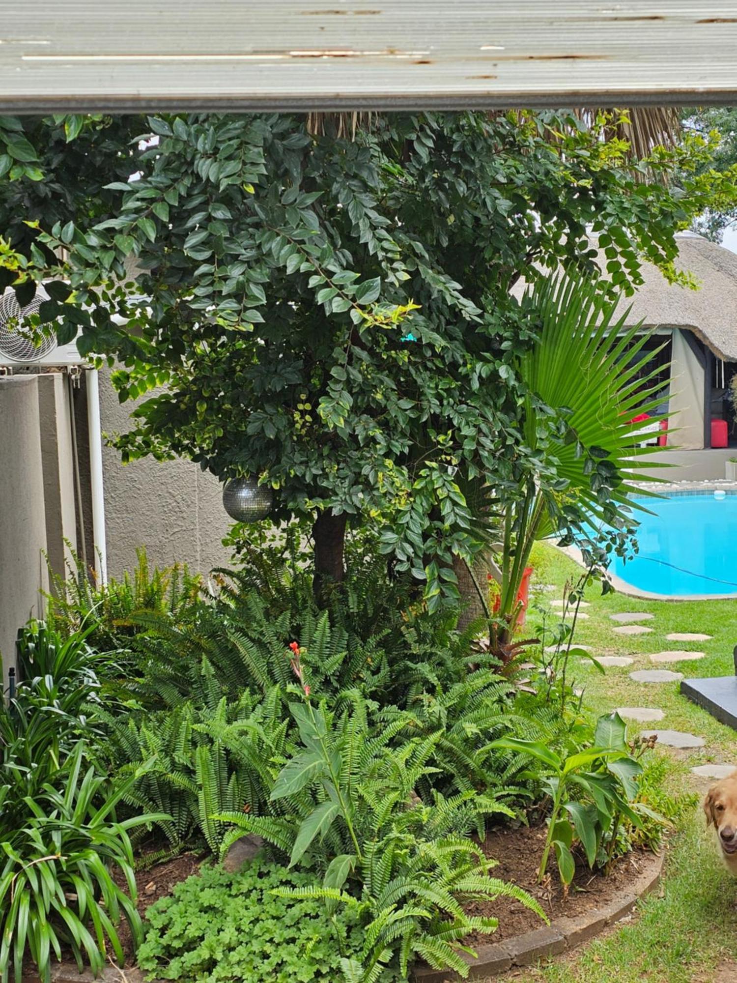 The Armagh Guesthouse Boksburg Extérieur photo